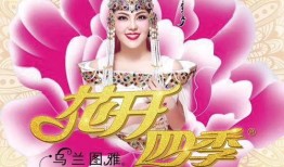 四季最新爆料视频,揭秘四季新动态，精彩内容抢先看！